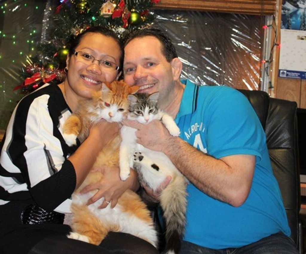 Michael A Companion (Card Of Thanks) Profile Photo