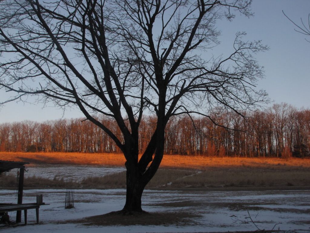 Jack L. Lowmiller Profile Photo