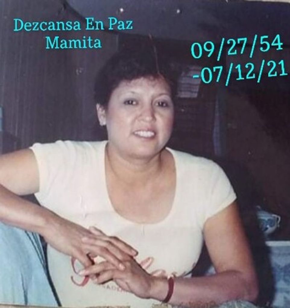 Ofelia Vallin-Nieves