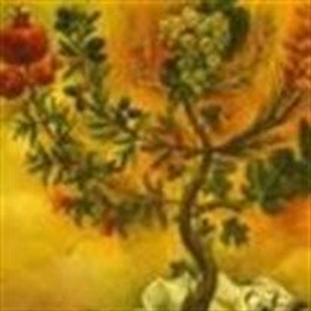 Elizabeth  M Robinowitz