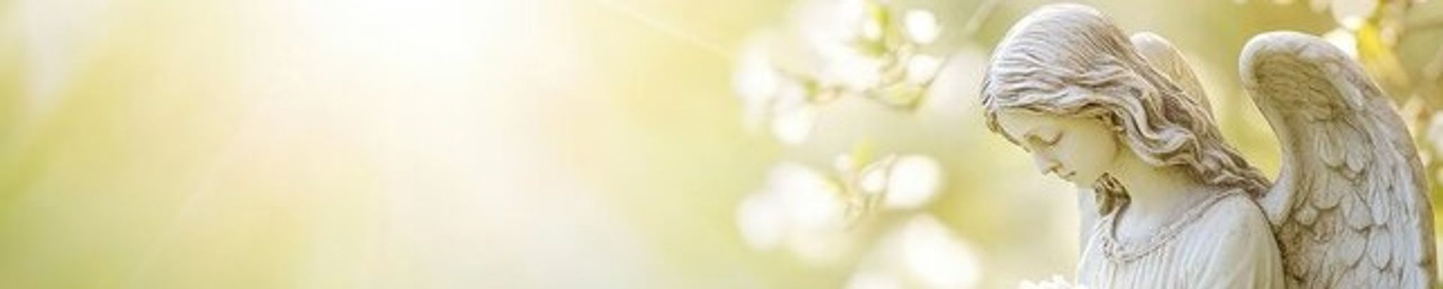 Cover for Pamela Schechinger's Obituary