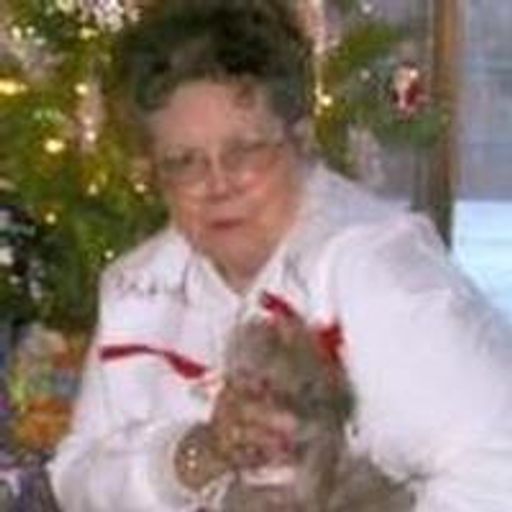 Ann Louis Stevens Profile Photo