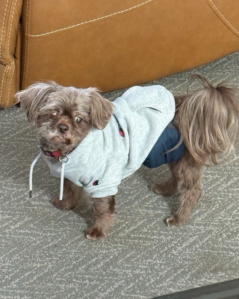 Hershey Allen Profile Photo