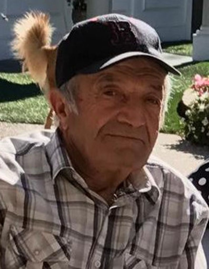 Arlindo Melo Correia Profile Photo