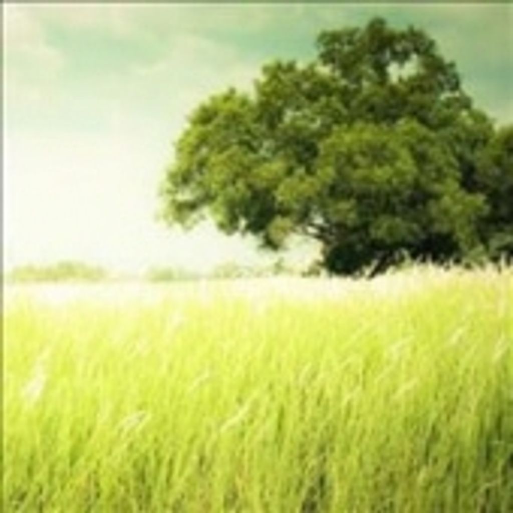 Dale Wayne Carmichael