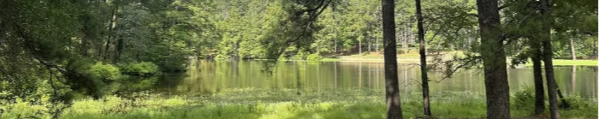Cover photo for Burton Dewey Weaver, Jr.'s Obituary
