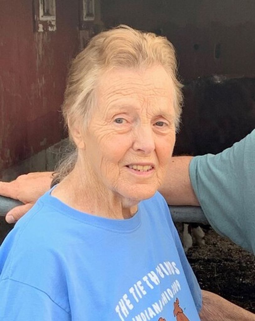 Anita B. Cate Profile Photo