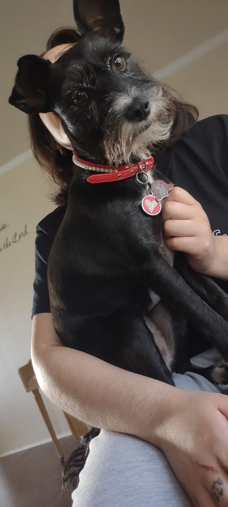 Shadow Profile Photo