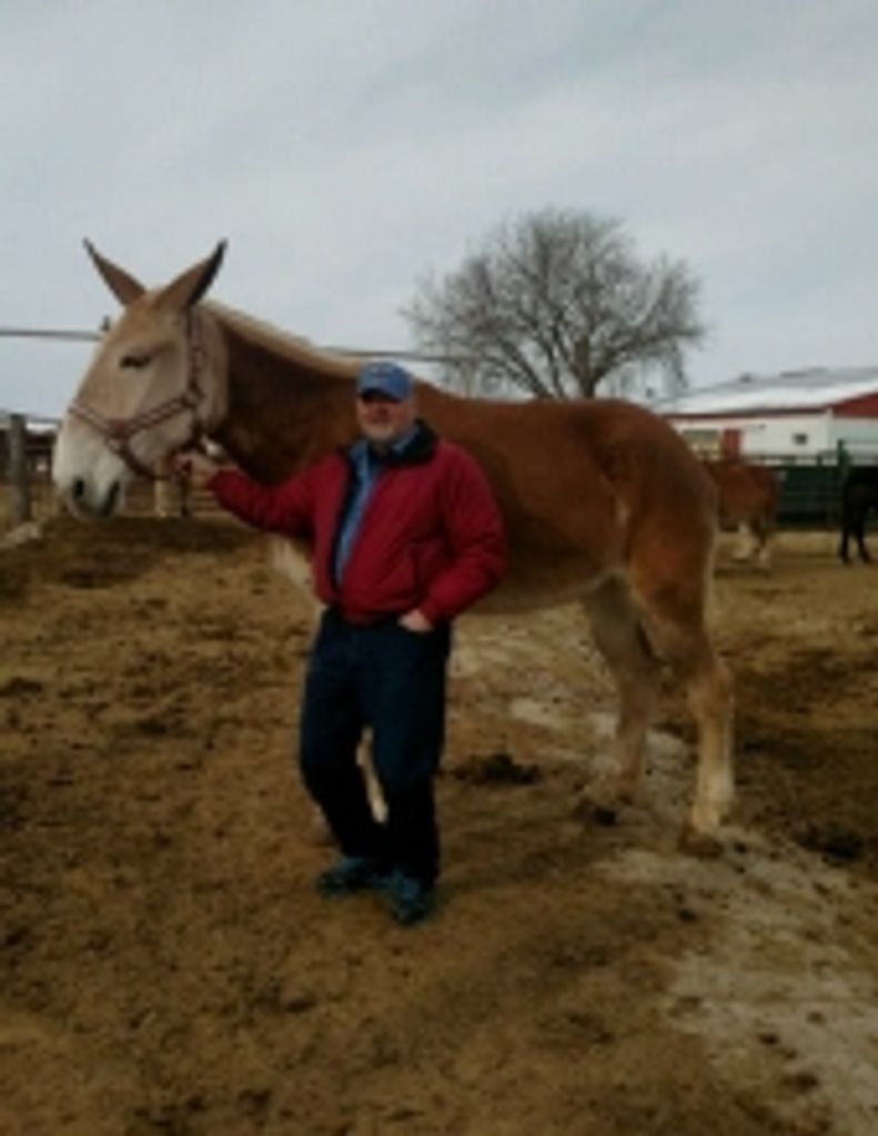 Ricky A. 'Rick' Wendland Profile Photo