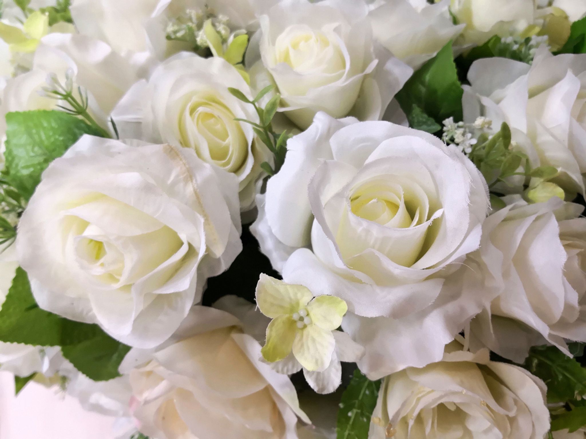 Cover for Iluminada Sanchez's Obituary