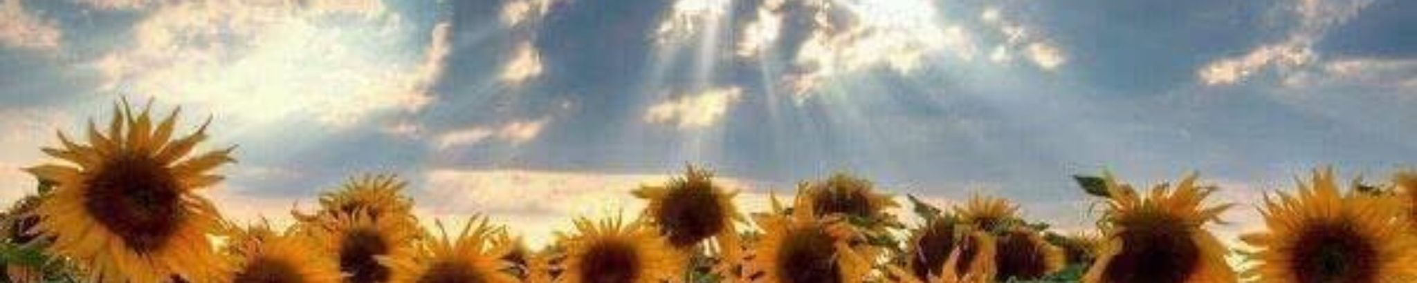 Cover for Bonny Hernandez's Obituary