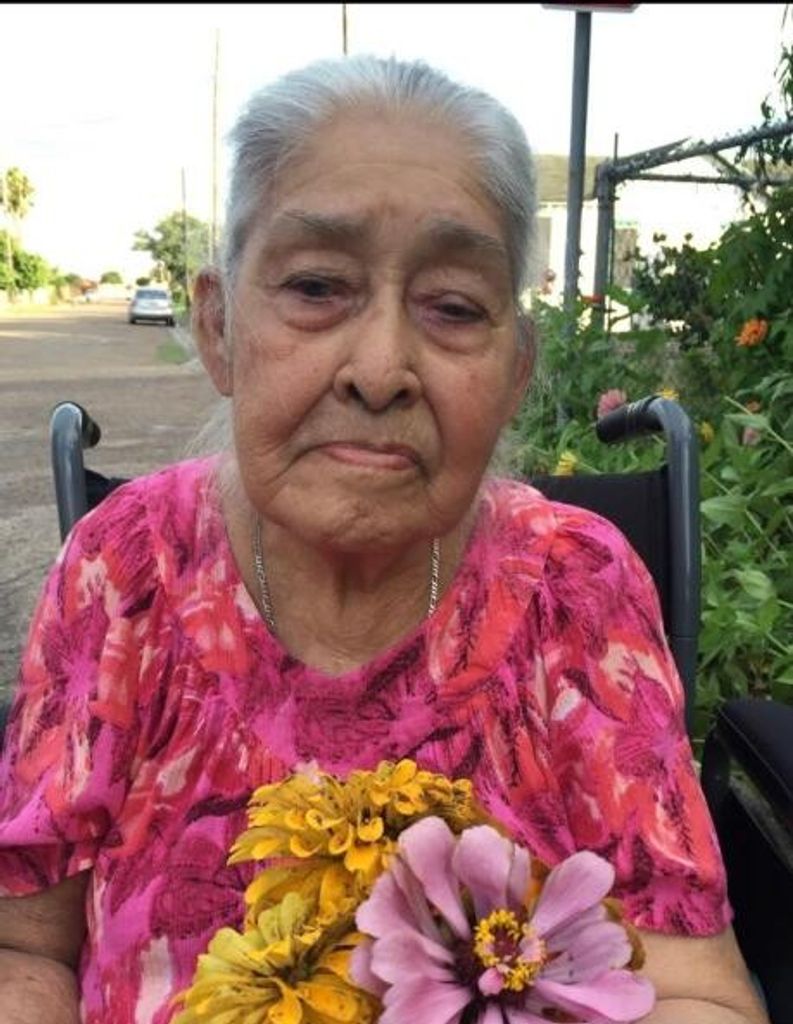 Adelaida R Montalvo