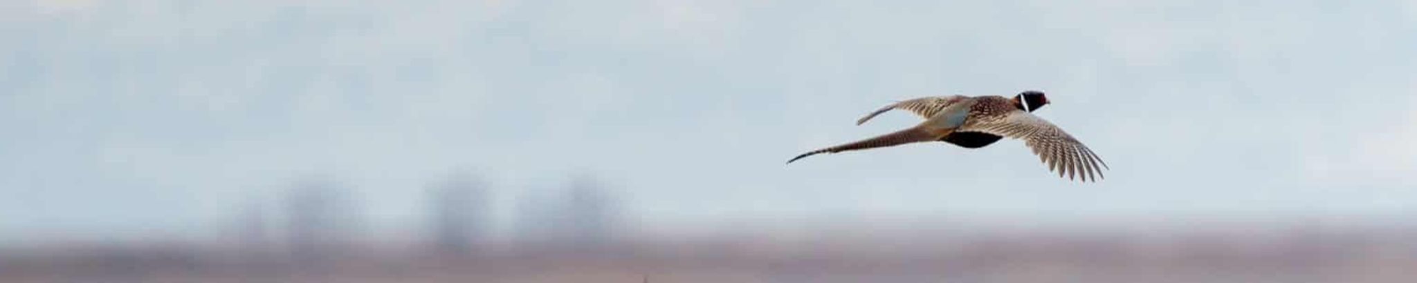 Cover for James (Jim) Jerome Klopfer's Obituary