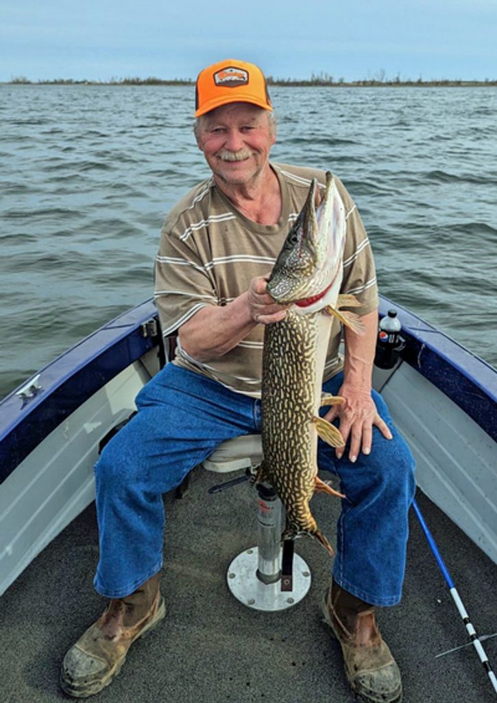 David L Sanderson Profile Photo