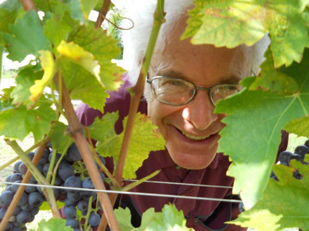 Bernard "Bernie" Libster Profile Photo