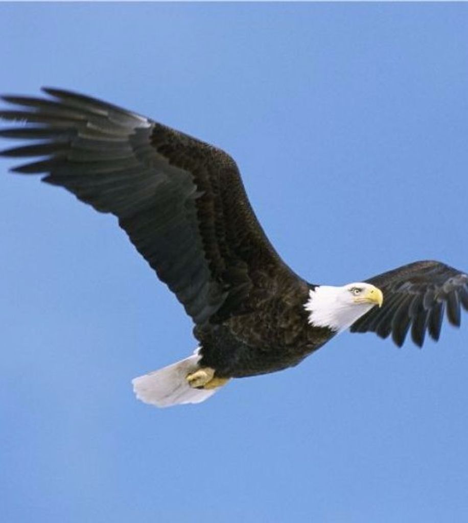 Edward  Winthly Gavin