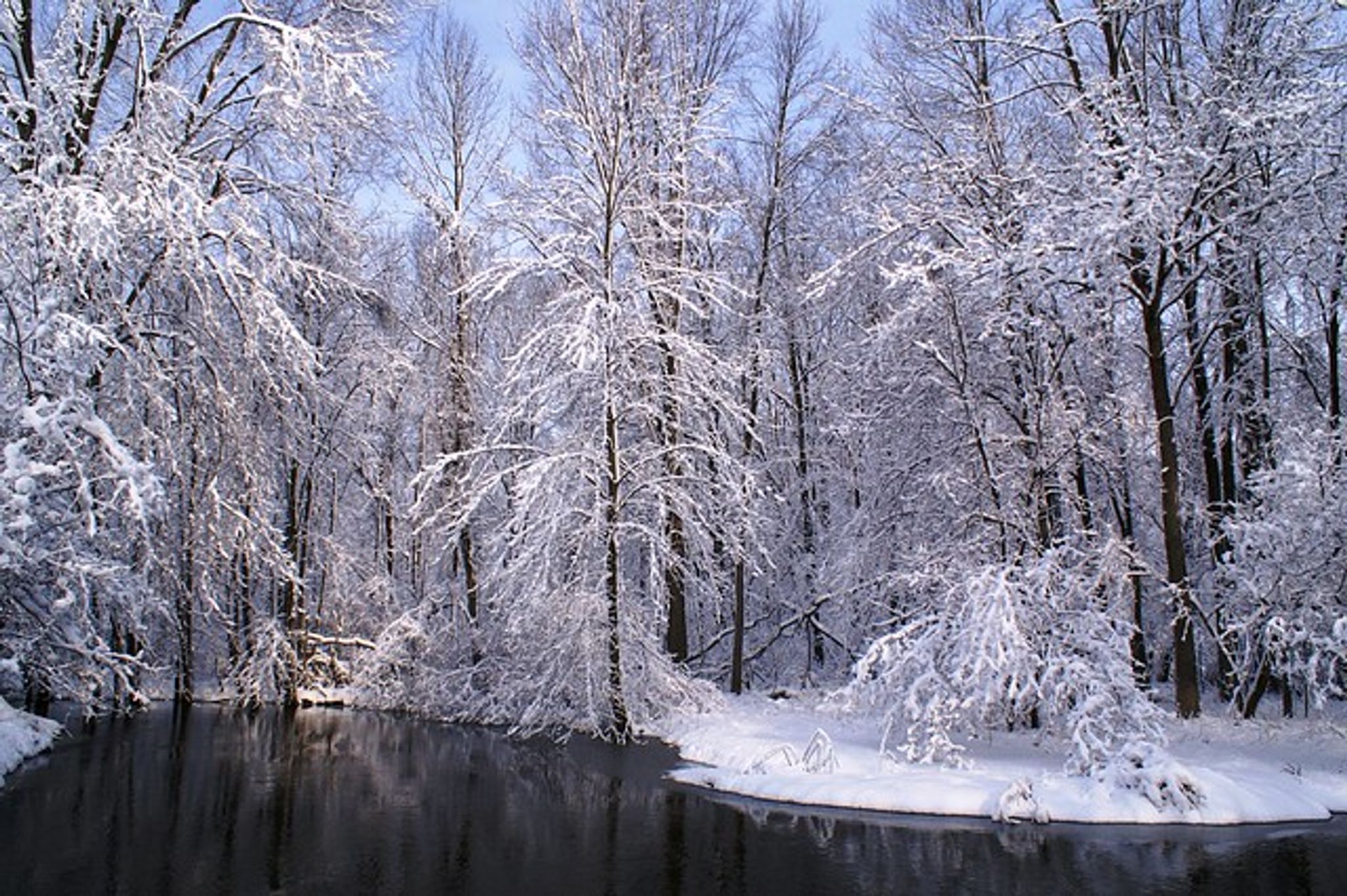 Cover for RALPH KEEFNER, JR.'s Obituary