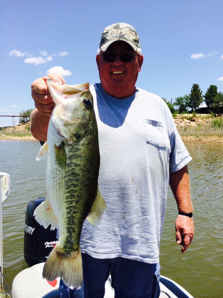 Michael L. Reynolds Profile Photo