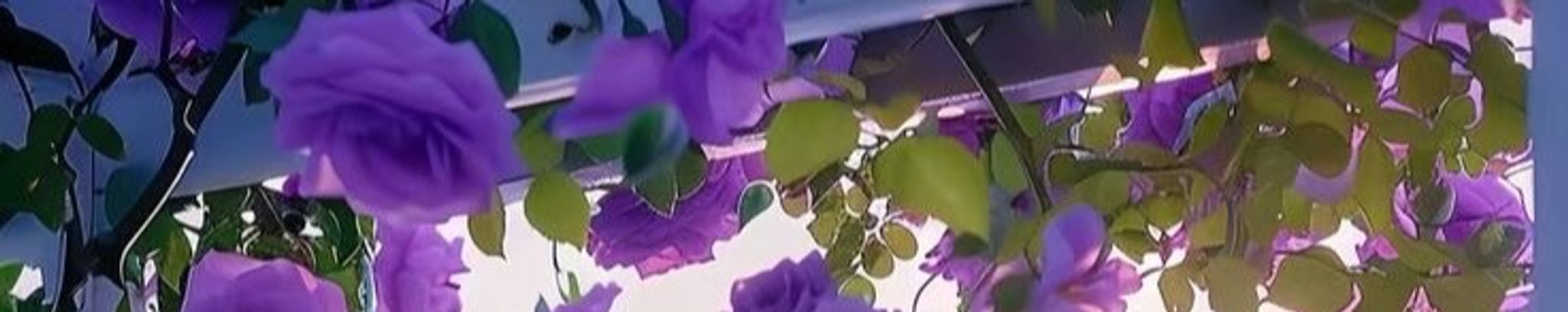 Cover photo for Bridget Person's Obituary