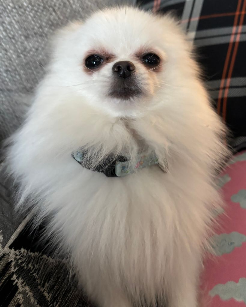 Regina Koguchi Profile Photo