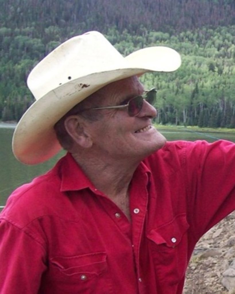 David John Nelson