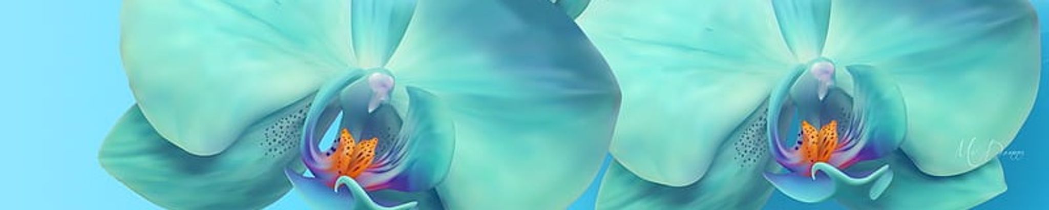 Cover photo for Angelique Rae Yeley's Obituary