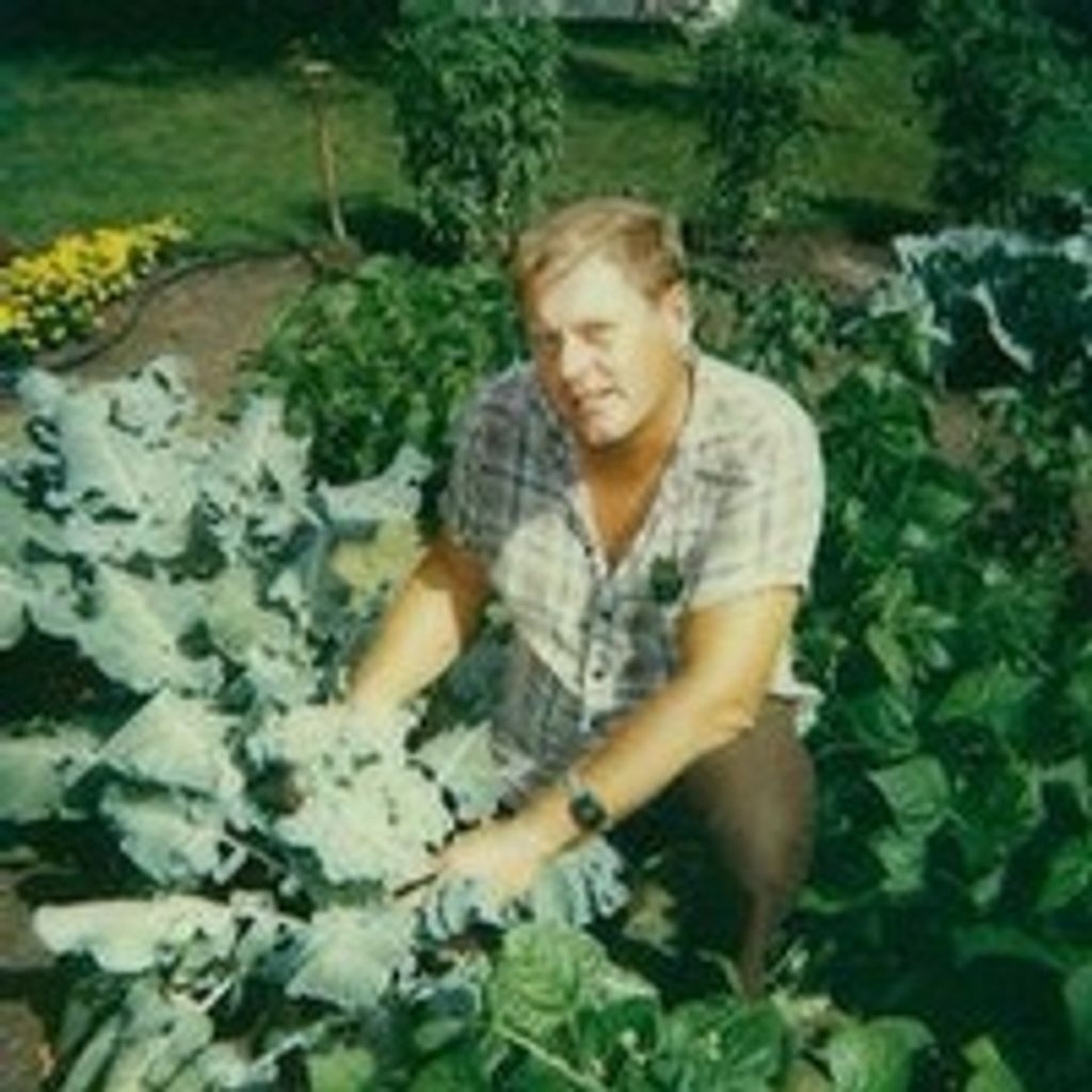 Harold D. Prokop