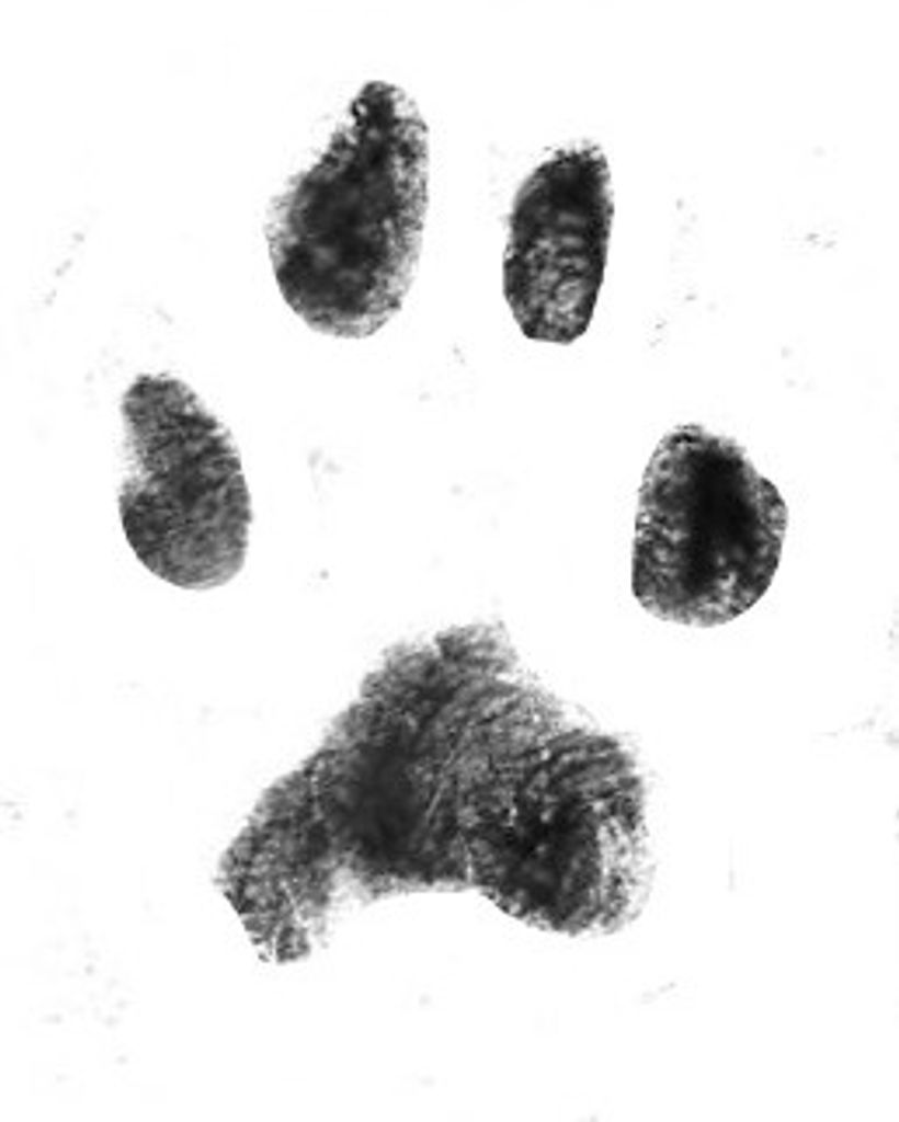 Molly Garmon Profile Photo