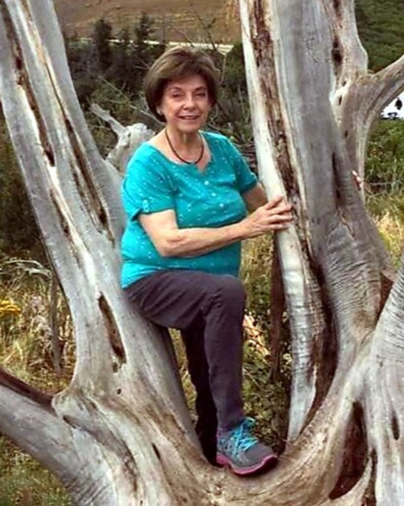 Bettianne Rowe Profile Photo