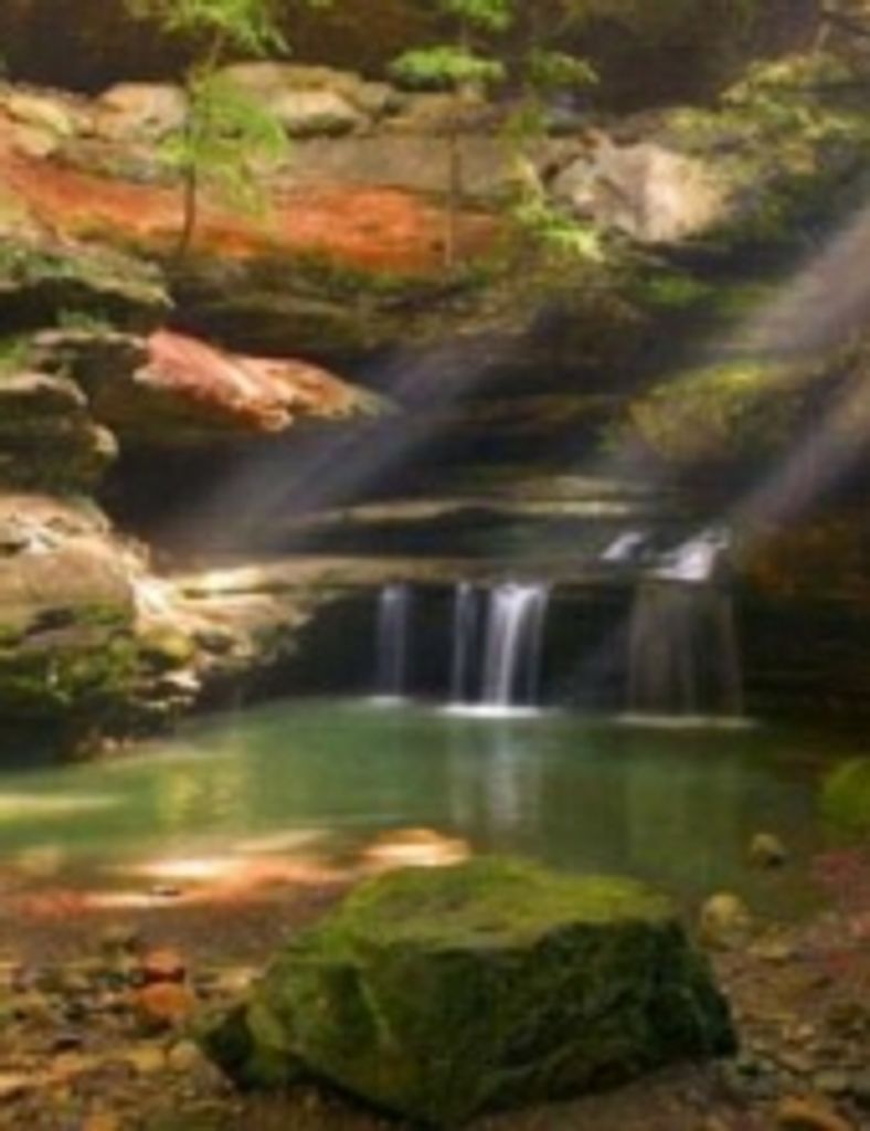 David Lee Allen Wood -Glbfh