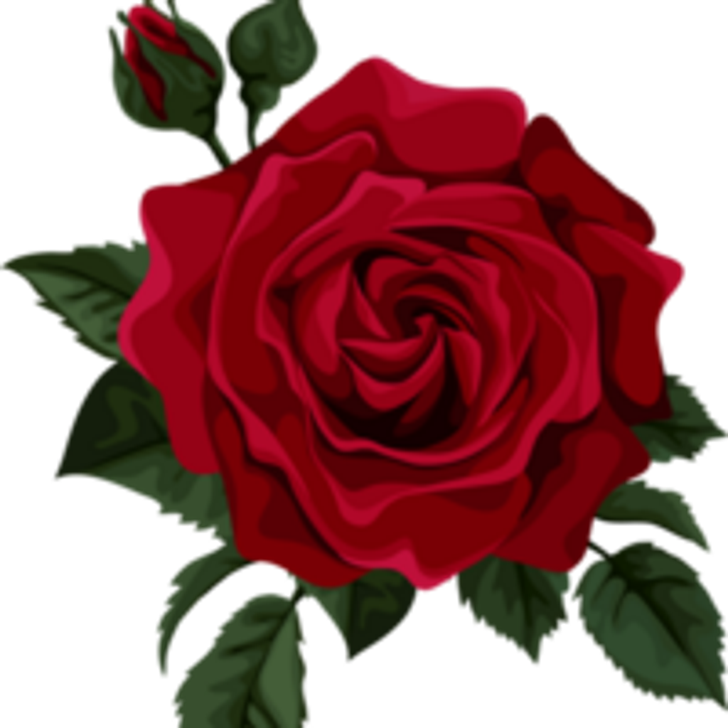 Rose A. Mattoon Profile Photo