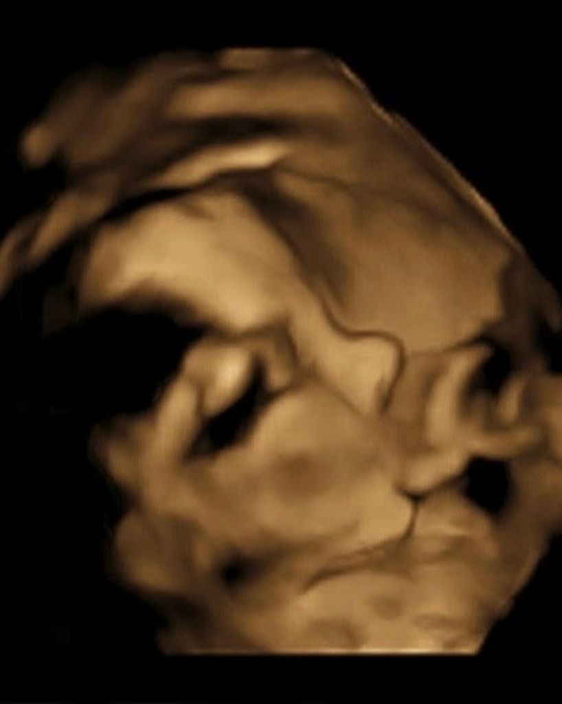 Nicholas Jordan James Parker