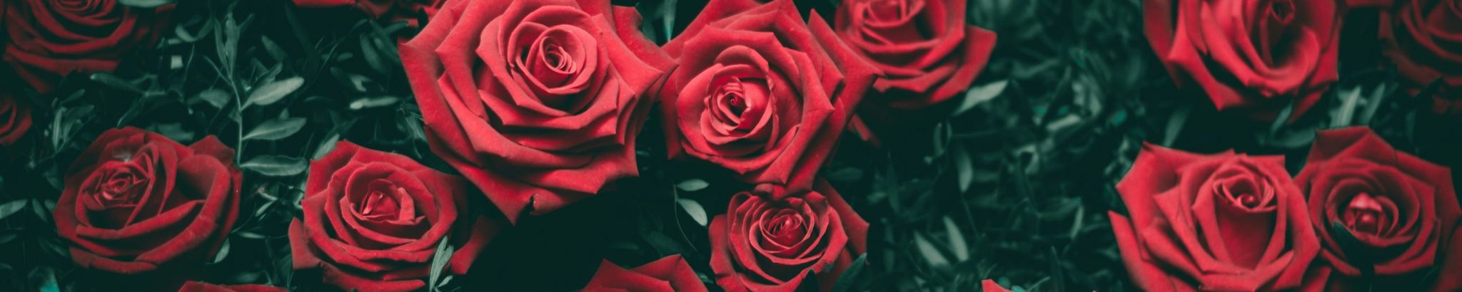 Cover photo for Rosa Adamo's Obituary