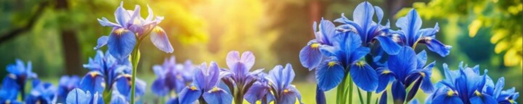 Cover for Deborah Jane Teague Moretz's Obituary