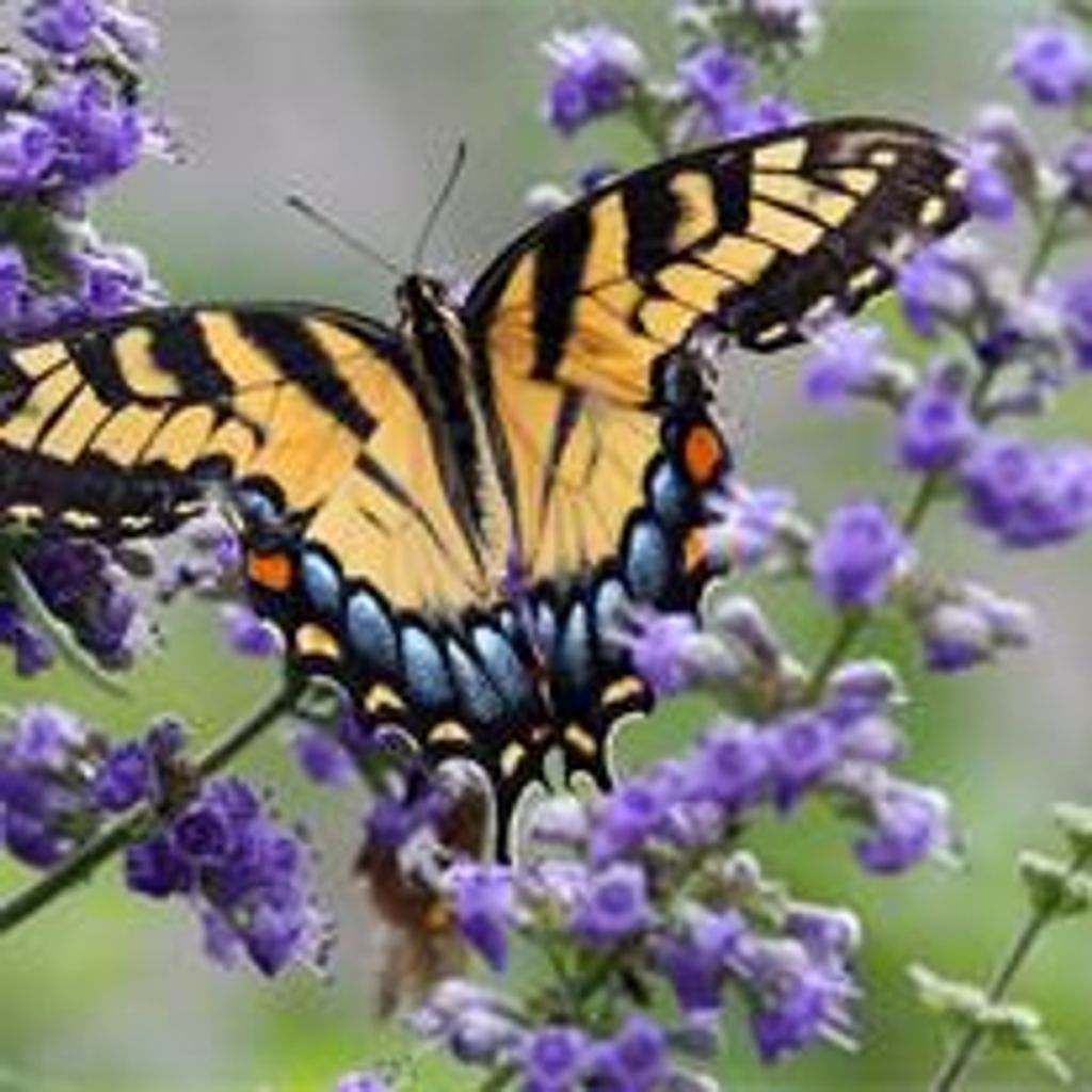 Mary Braaten Profile Photo