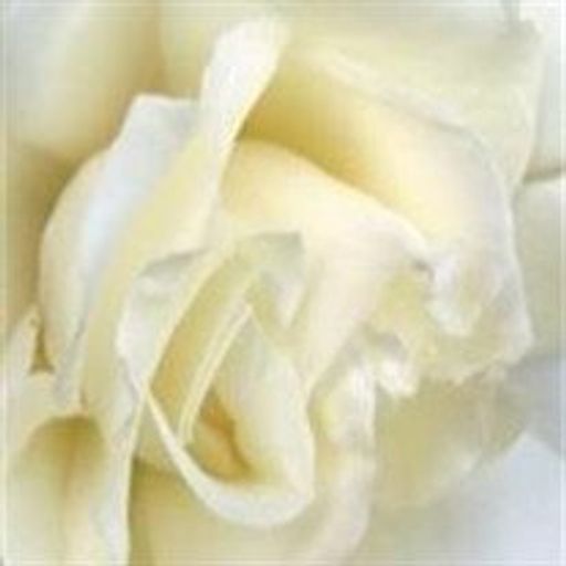 Helen  Louise Schremser Profile Photo