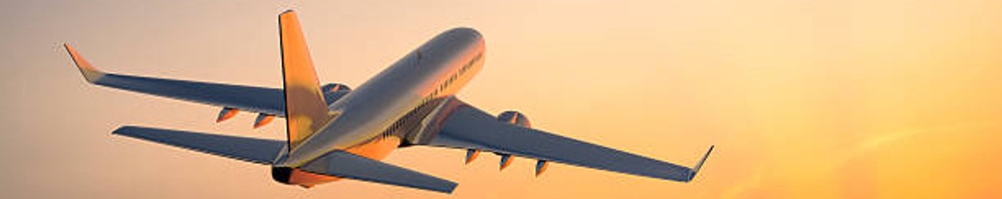 Cover for Mitchell F. Najar's Obituary