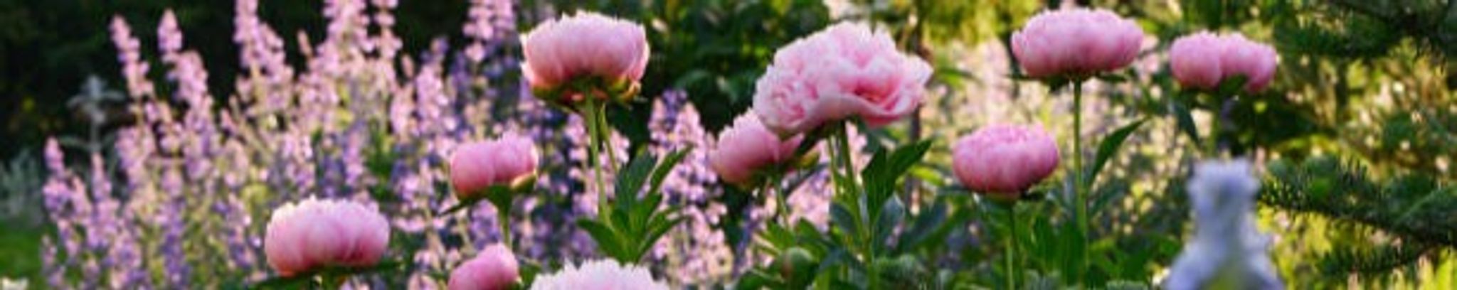 Cover for John Owen Godshall's Obituary