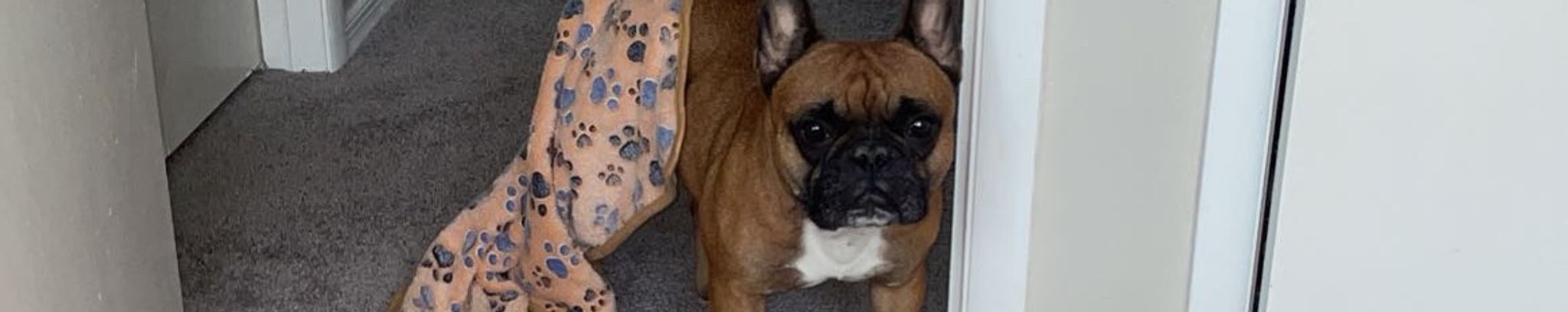 Cover for Booker's Obituary