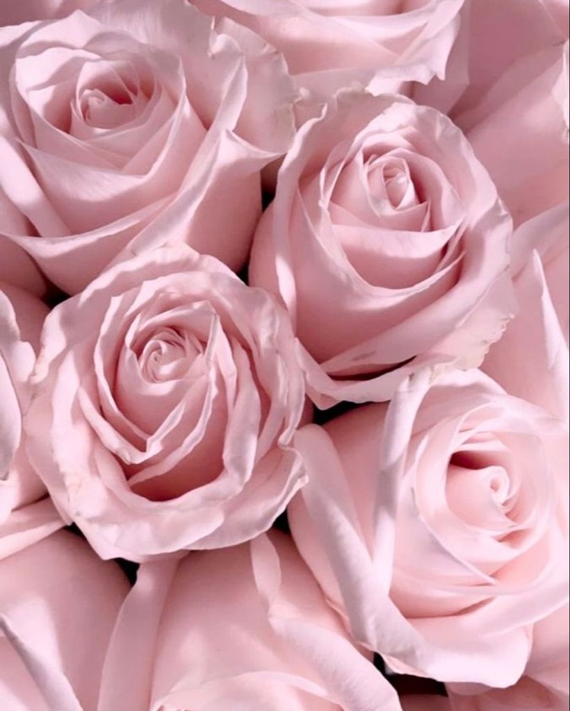 Maria Rizza Ramirez Profile Photo