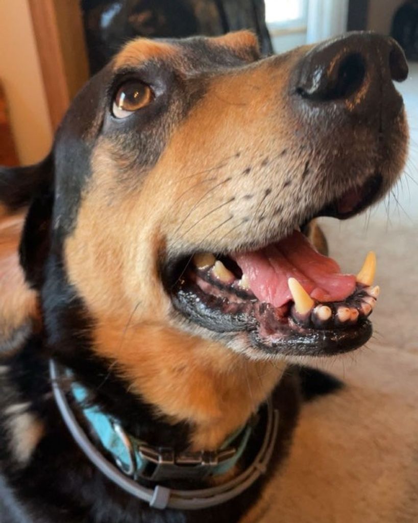 Gunner Lozada Profile Photo