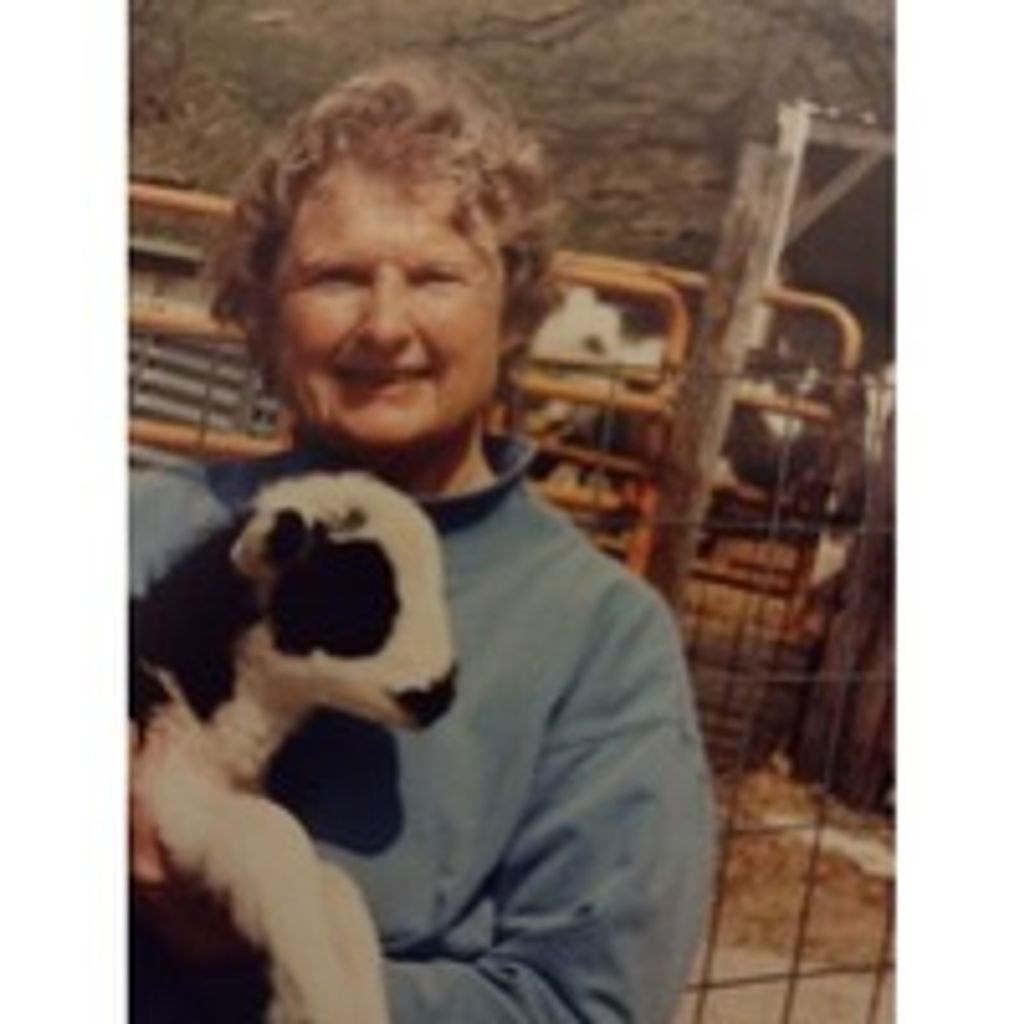 Marianne Craft Norton