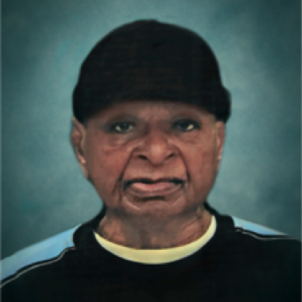 Herman Louis Johnson