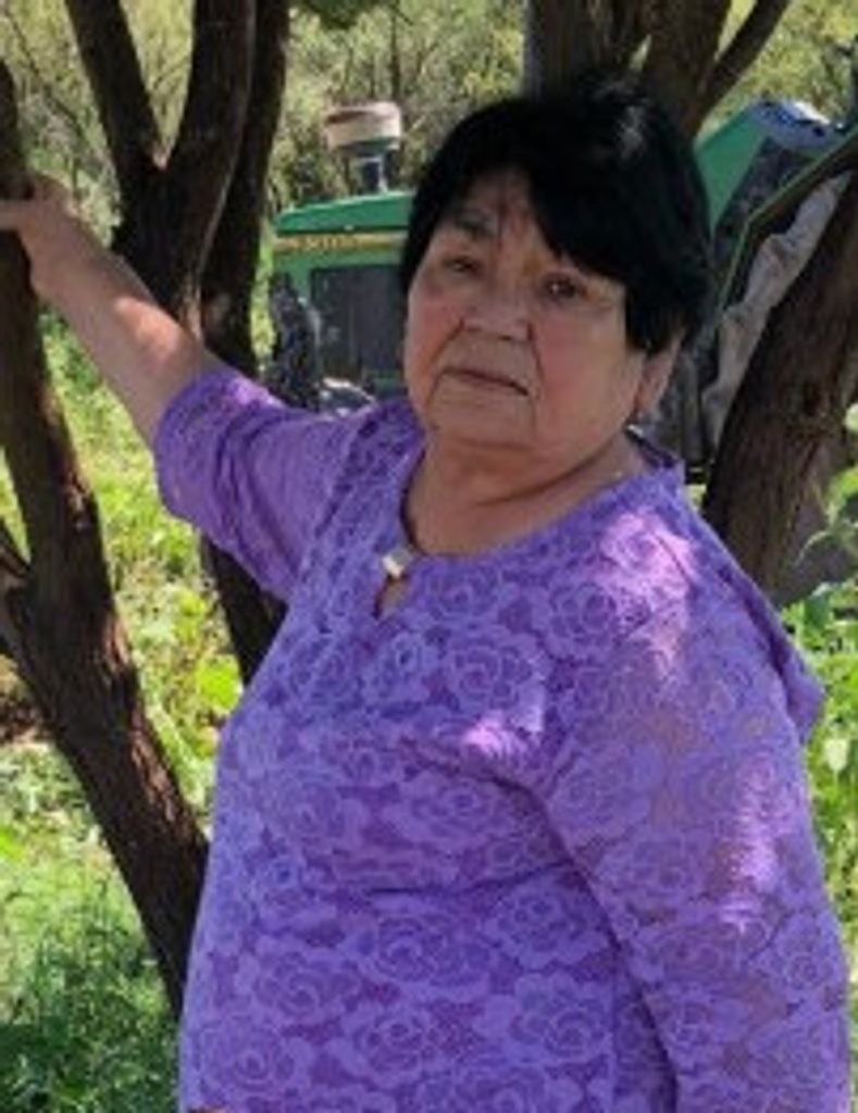 Rosalina Hernandez Gonzalez Profile Photo