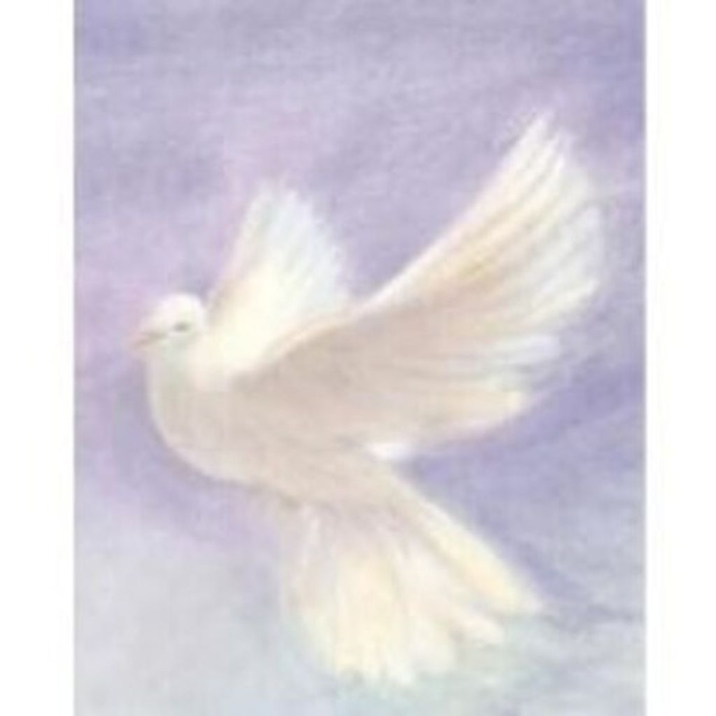 William Allen Williamson