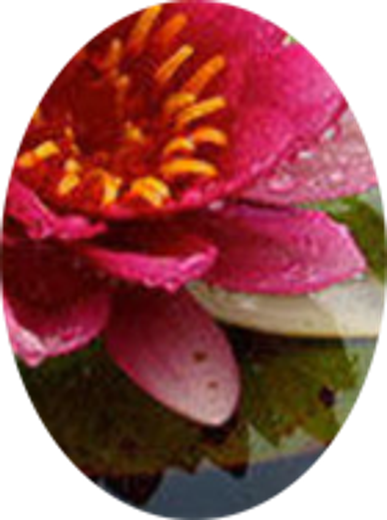 Mary Ashberry
