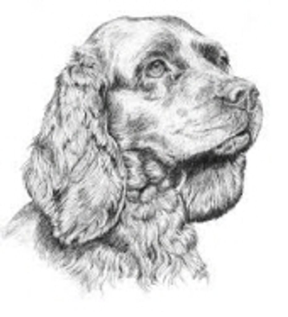 Brandy Sweet Profile Photo