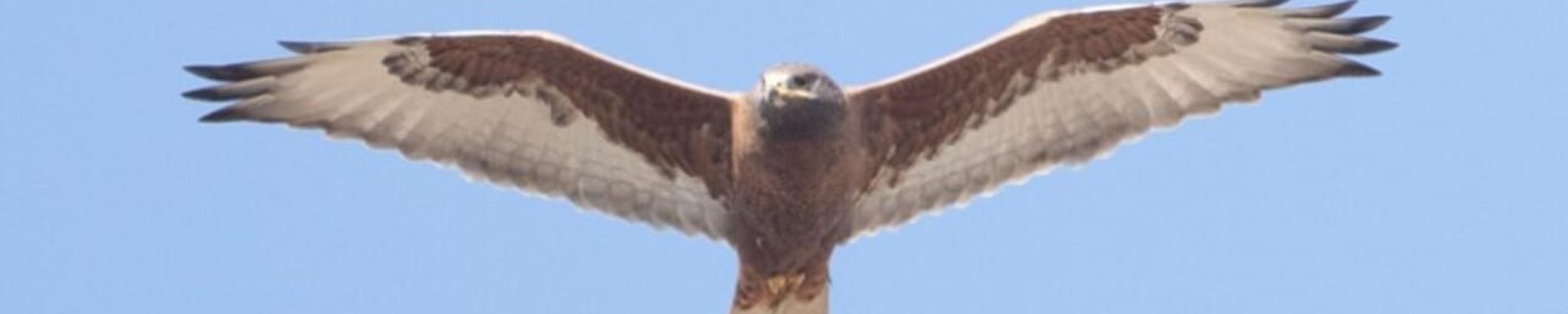 Cover photo for Erik Thomas Rigler's Obituary