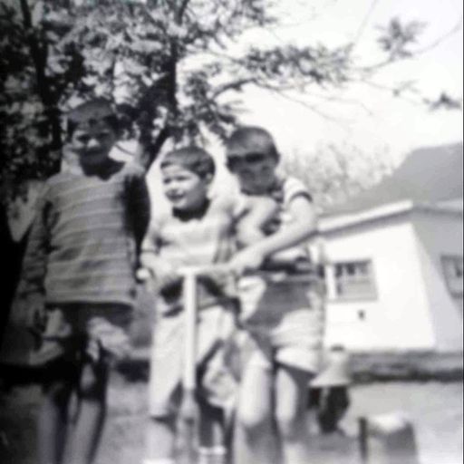 Terry Lee Gault photo gallery thumbnail 163 of 186