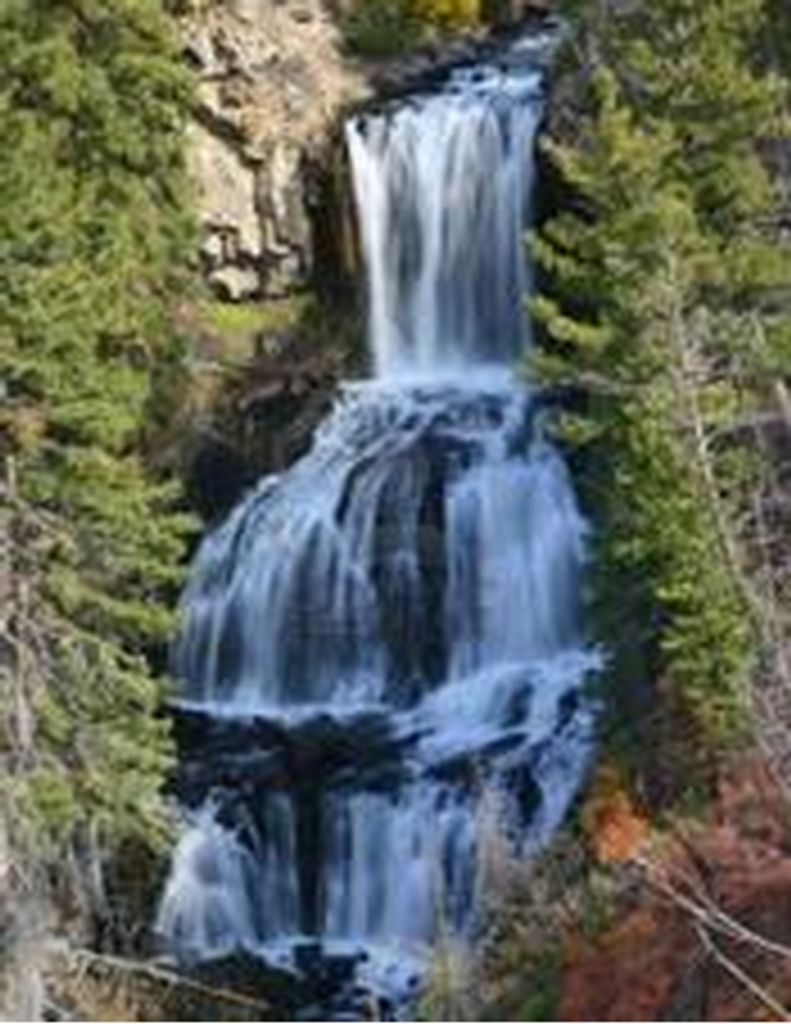 Michael Ray Stapleton